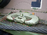 Sturmgeschütz 40 G # Ps. 531-12