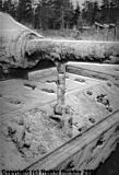 Sturmgeschütz 40 G # Ps. 531-25